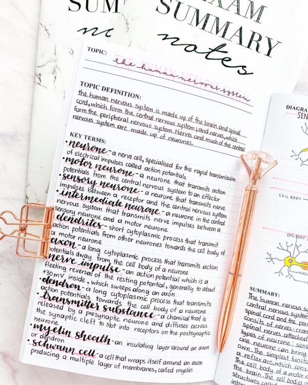 Exam Summary Notes on Amazon! - Image 2