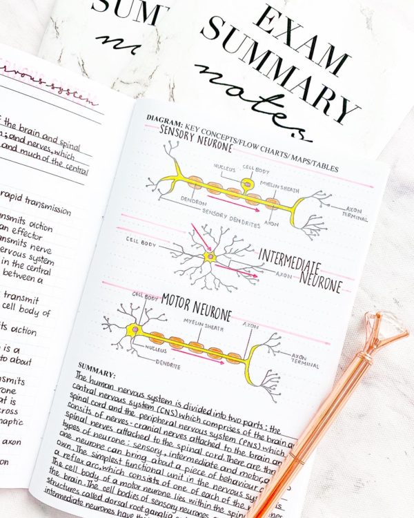 Exam Summary Notes on Amazon! - Image 3