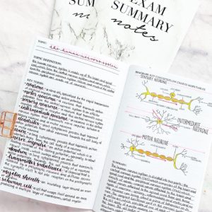 Exam Summary Notes on Amazon!