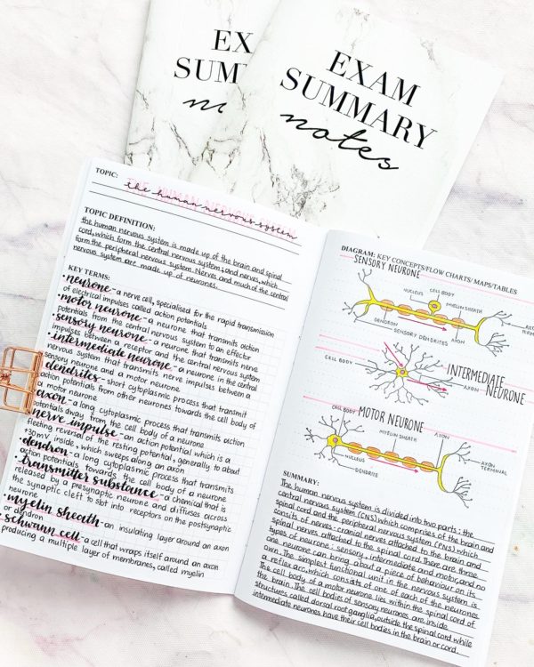 Exam Summary Notes on Amazon!
