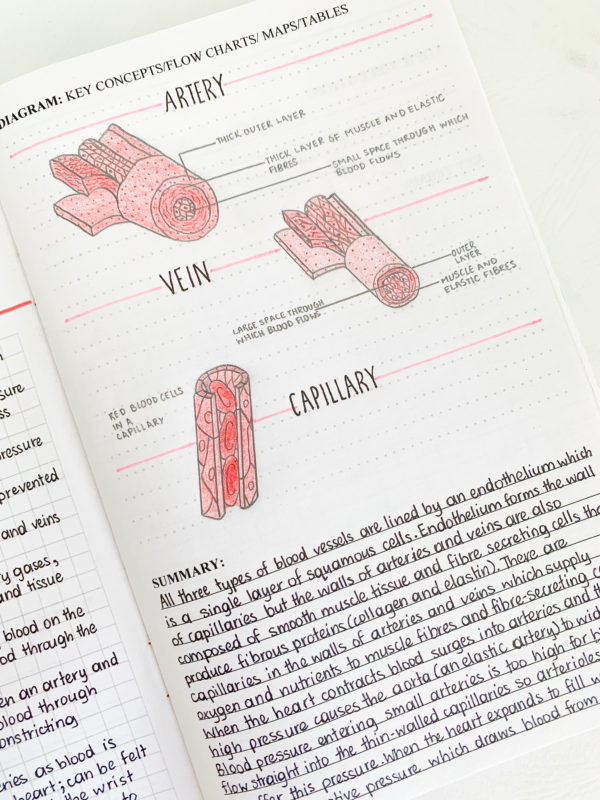 Exam Summary Notes on Amazon! - Image 5