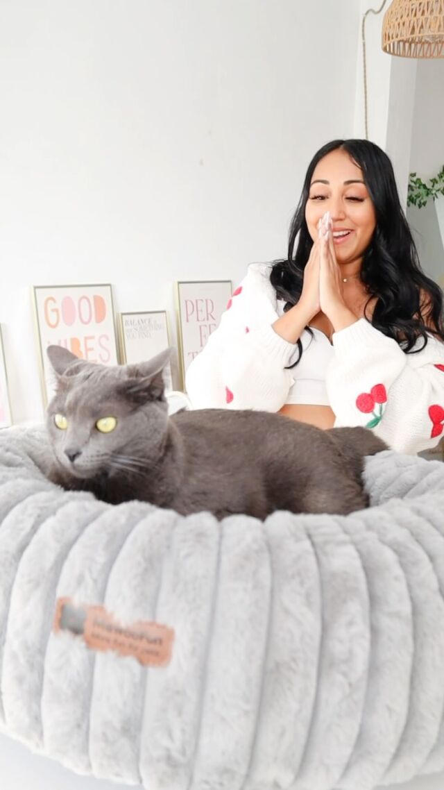unbox and set up the cutest little donut bed for my cats ✨

Loveee how plush and cozy it is. It’s perfect for your kitties or a small dog. You can shop yours @mewoofun_official 🐾

#lifestyle #lifestyleblogger #cat #cutecats #cataesthetic #mewoofun #catlover #cats #cathaul